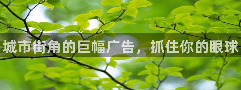杏宇平台怎么样赚钱