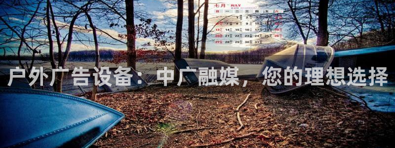 杏宇平台是什么