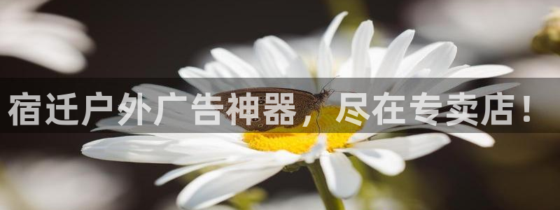 杏宇平台登录步骤