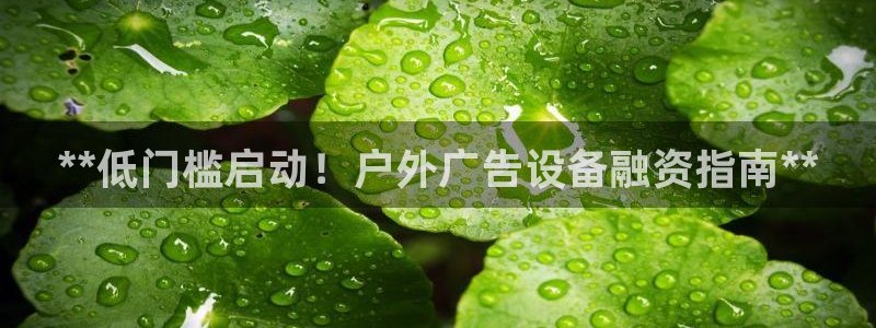 杏宇平台注册登录