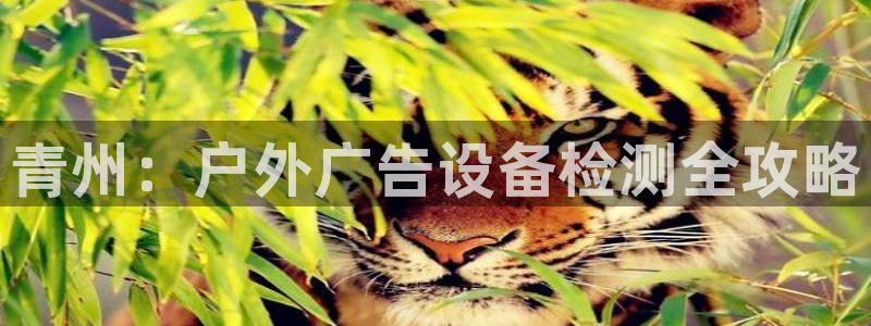 杏宇平台怎么样