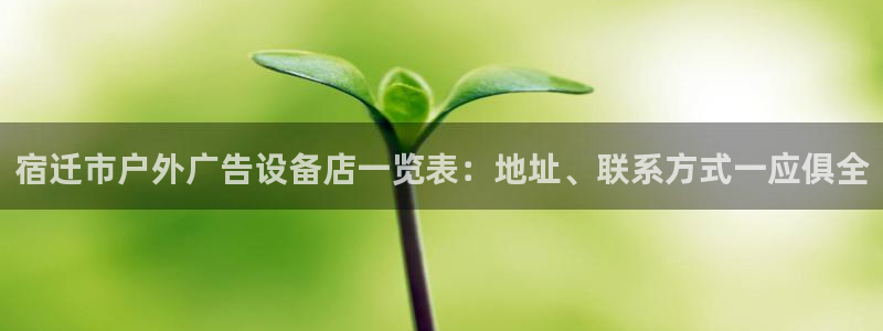 杏宇平台总代理