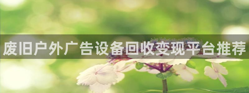 杏宇平台注册地址在哪里