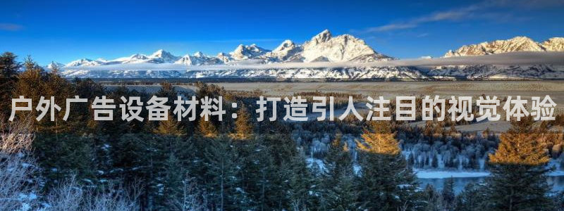 杏宇平台注册登录