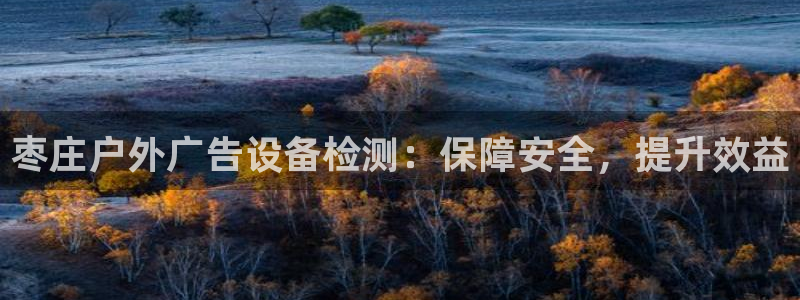 杏宇平台总代理是谁：枣庄户外广告设备检测：保障安全，提升效益