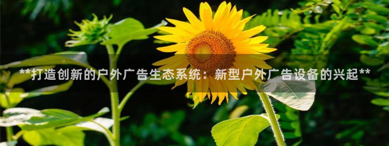 杏宇平台注册登录：**打造创新的户外广告生态系统：新型户外广告设备的兴起**