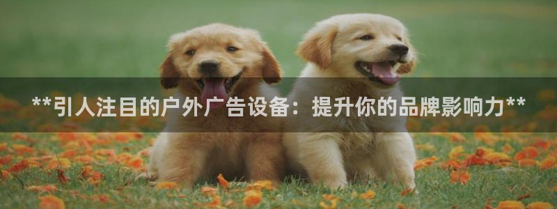 杏宇官方平台官网入口：**引人注目的户外广告设备：提升你的品牌影响力**