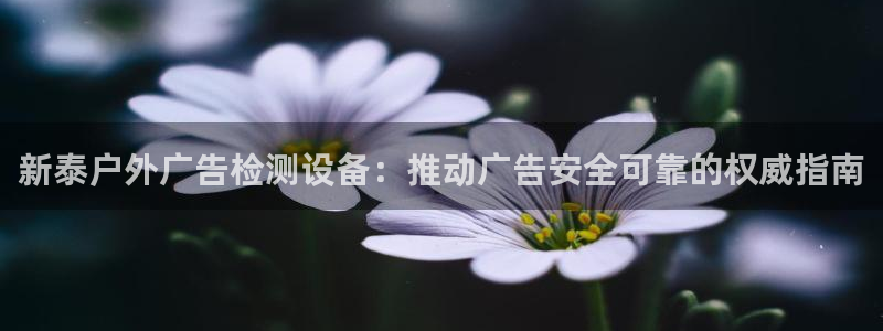 杏宇官方平台官网入口：新泰户外广告检测设备：推动广告安全可靠的权威指南