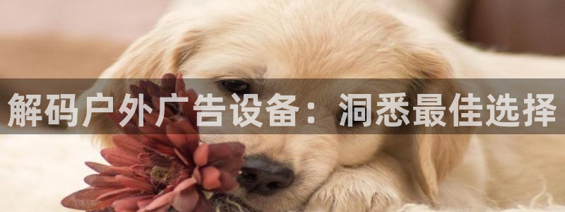 杏宇平台代理多少钱一次