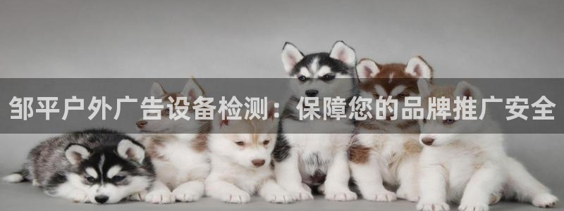 杏宇平台代理多少钱一个月