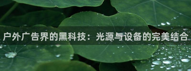杏宇平台注册地址