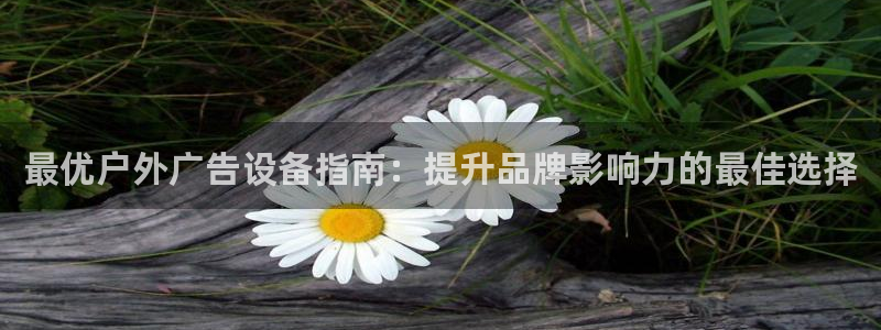 杏宇平台代理多少钱一次：最优户外广告设备指南：提升品牌影响力的最佳选择