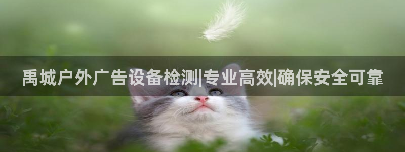 杏宇平台代理多少钱一次：禹城户外广告设备检测|专业高效|确保安全可靠