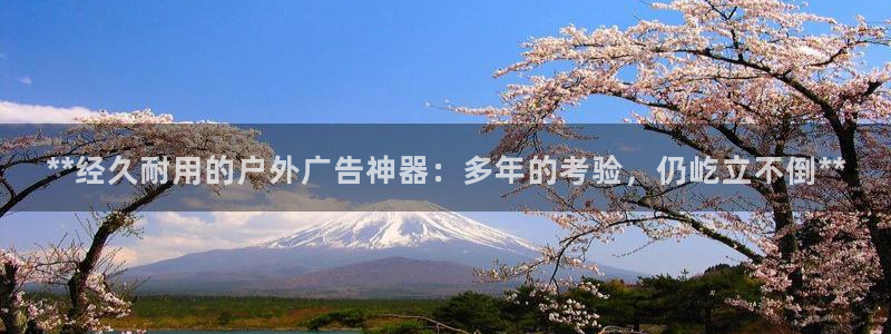杏宇平台登录步骤