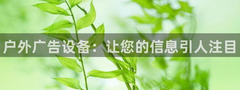 杏宇平台代理多少钱一个