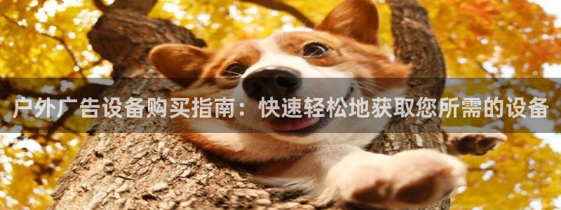 杏宇平台代理多少钱一次