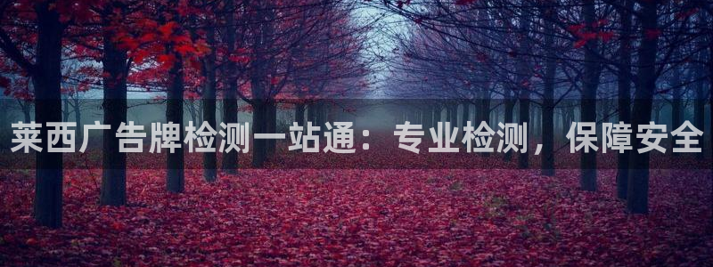 杏宇平台代理怎么赚钱的
