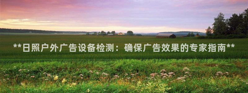 杏宇平台代理多少钱一个：**日照户外广告设备检测：确保广告效果的专家指南**