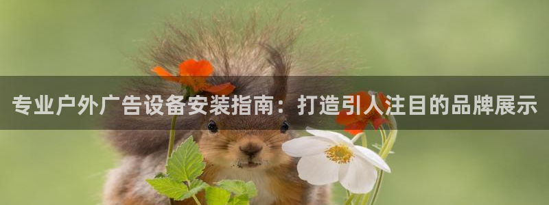 杏宇平台开户