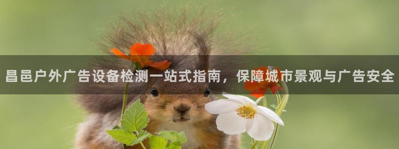 杏宇平台总代理是谁：昌邑户外广告设备检测一站式指南，保障城市景观与广告安全