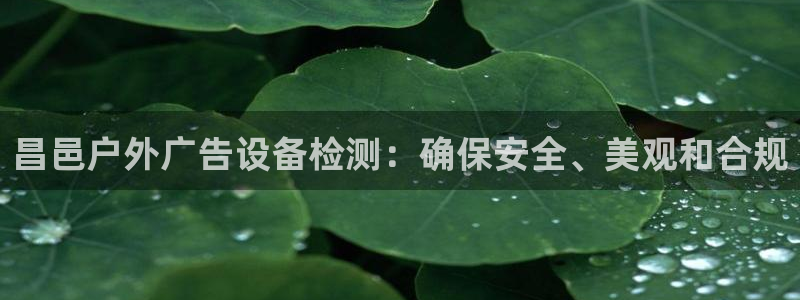 杏宇平台注册登录