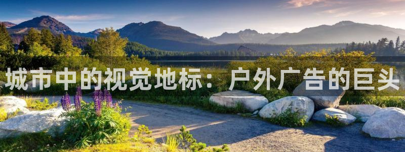 杏宇代理注册