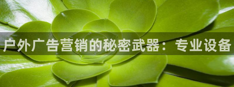 杏宇平台总代理电话