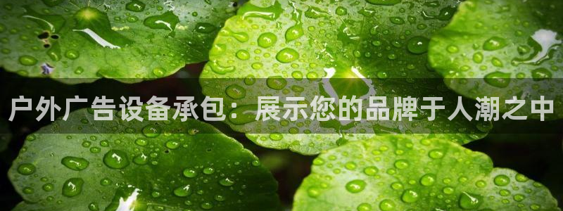 杏宇平台代理怎么赚钱快