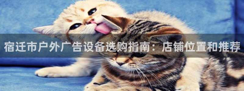 杏宇平台登录方法