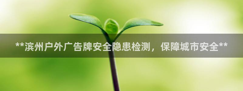 杏宇平台招商电话号码