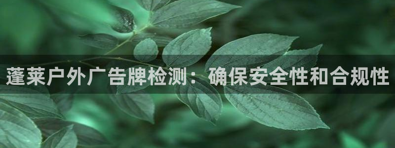 杏宇平台登录步骤图：蓬莱户外广告牌检测：确保安全性和合规性