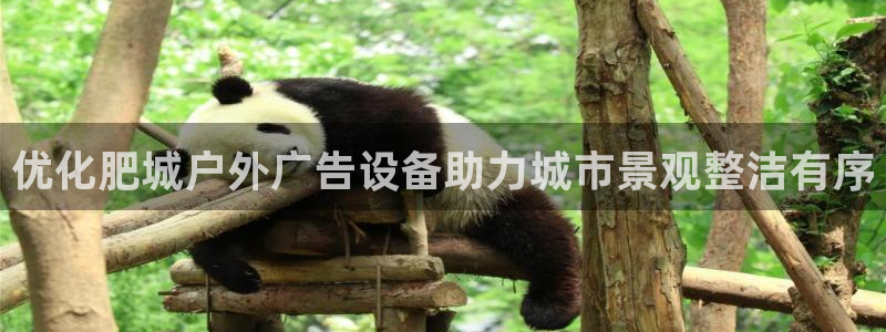 杏宇平台是什么：优化肥城户外广告设备助力城市景观整洁有序