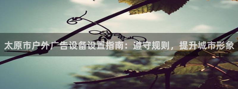 杏宇平台总代理是谁：太原市户外广告设备设置指南：遵守规则，提升城市形象
