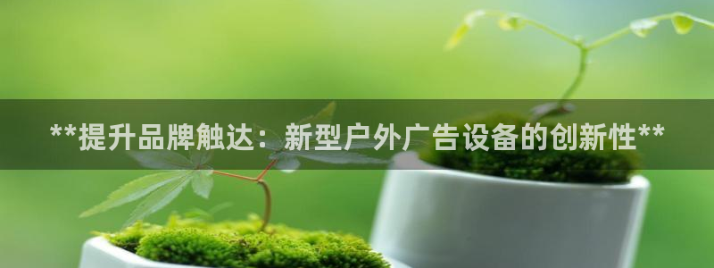 杏宇平台主管：**提升品牌触达：新型户外广告设备的创新性**