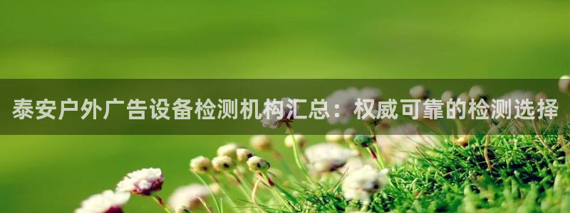 杏宇平台总代理电话