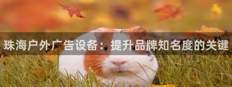 杏宇平台是什么：珠海户外广告设备：提升品牌知名度的关键