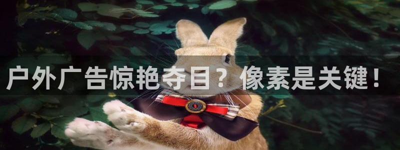 杏宇官方平台官网
