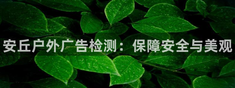 杏宇平台开户