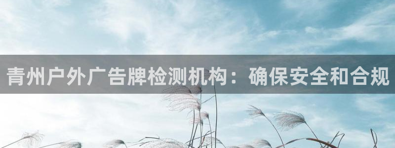 杏宇平台登录步骤图