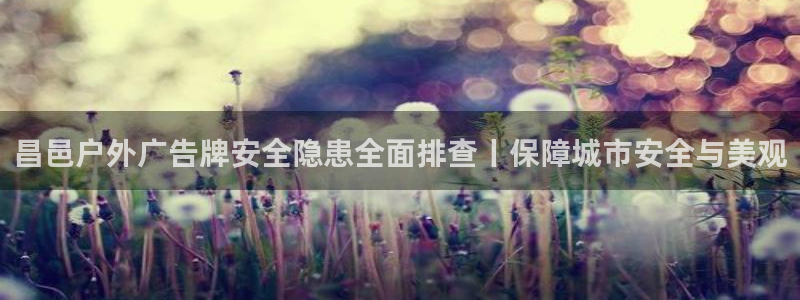 杏宇平台代理