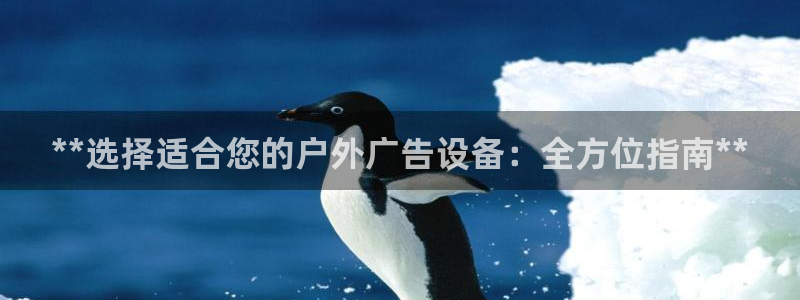 杏宇平台提现为什么这么久呢：**选择适合您的户外广告设备：全方位指南**