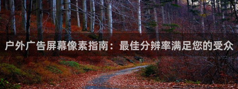 杏宇平台注册地址在哪里