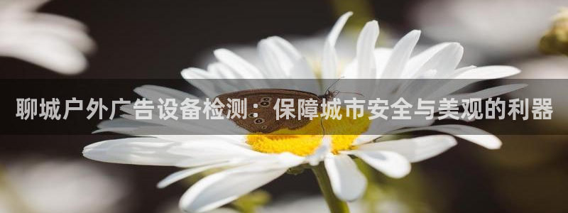 杏宇平台测速链接：聊城户外广告设备检测：保障城市安全与美观的利器