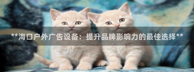 杏宇平台是什么：**海口户外广告设备：提升品牌影响力的最佳选择**