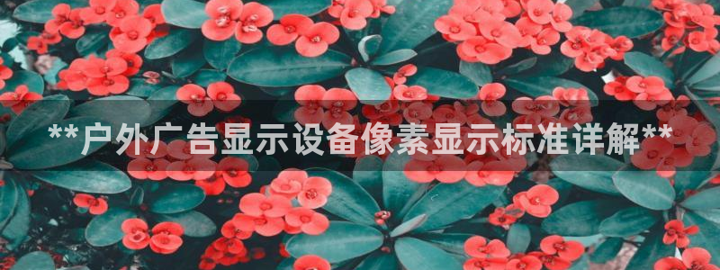 杏宇平台是什么