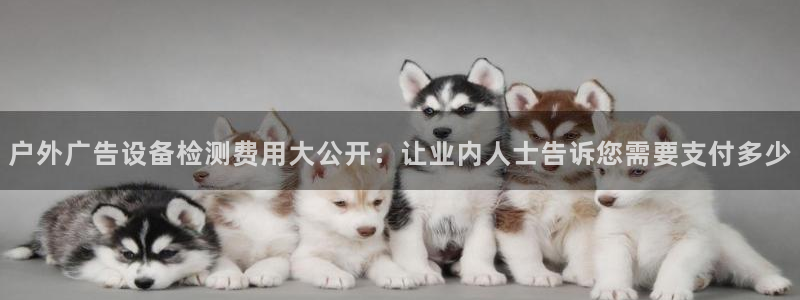 杏宇官方平台官网下载