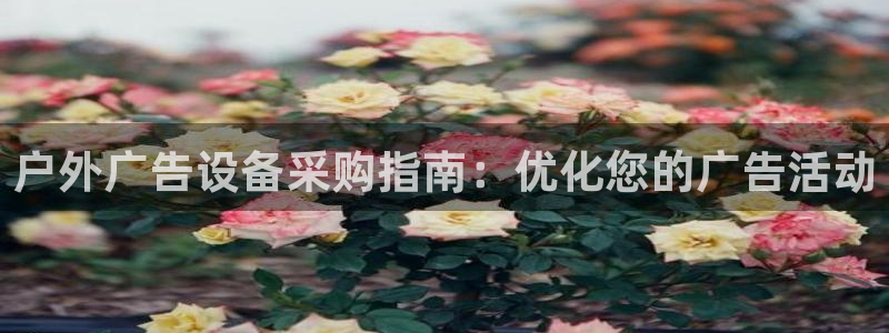 杏宇平台提现为什么这么久呢：户外广告设备采购指南：优化您的广告活动