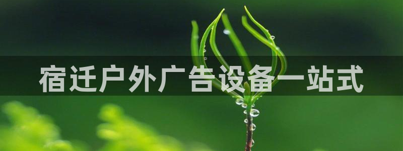 杏宇平台代理怎么样可靠吗