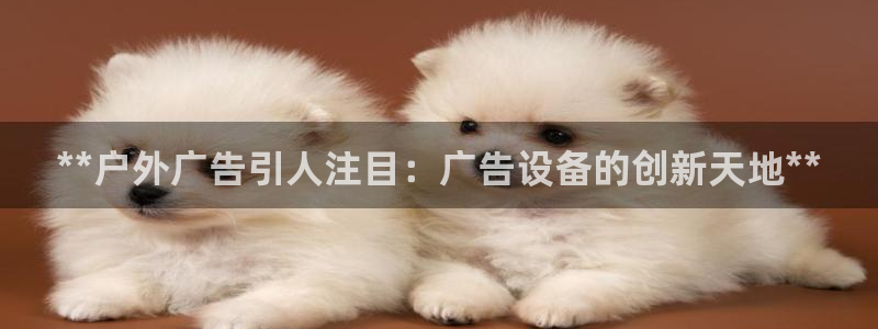 杏宇平台代理怎么样可靠吗