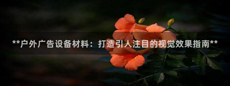 杏宇平台官网注册：**户外广告设备材料：打造引人注目的视觉效果指南**